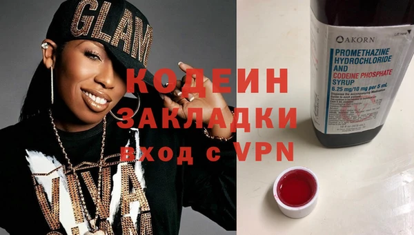 индика Киреевск