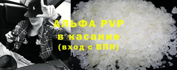 трава Карпинск