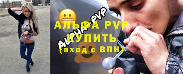 трава Карпинск